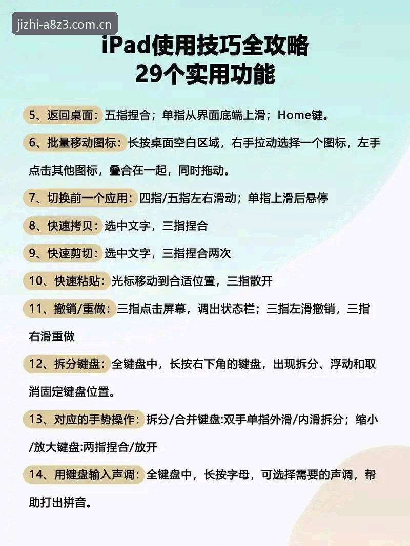 新手必看！完美体育电脑版选择实用指南与必备知识